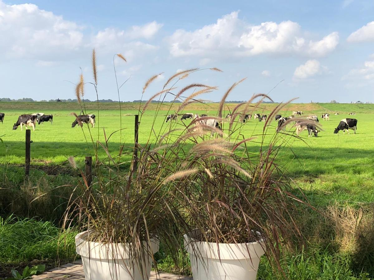 Bed and Breakfast Het Leeuwterveld Sint Jansklooster Zewnętrze zdjęcie