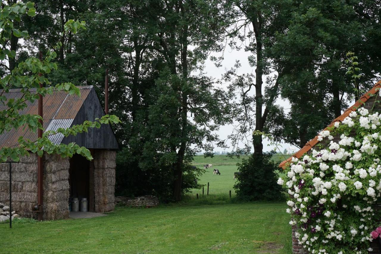 Bed and Breakfast Het Leeuwterveld Sint Jansklooster Zewnętrze zdjęcie