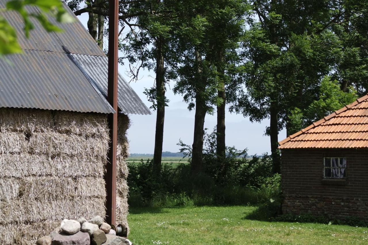 Bed and Breakfast Het Leeuwterveld Sint Jansklooster Zewnętrze zdjęcie